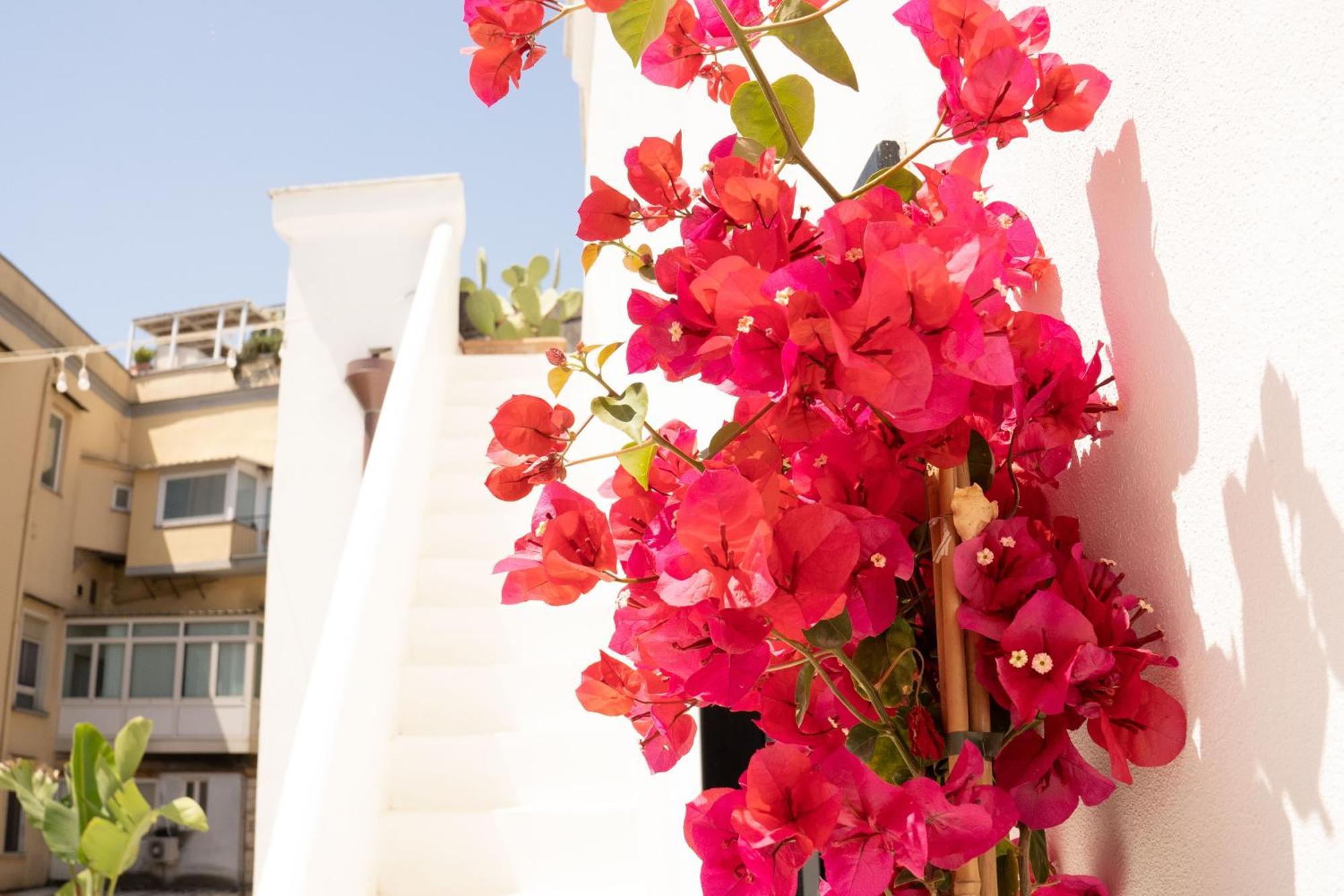 Civico 50 Hotel Napoli Ngoại thất bức ảnh