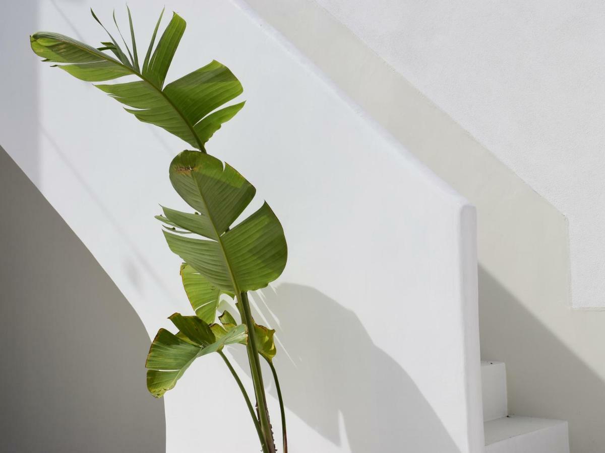 Civico 50 Hotel Napoli Ngoại thất bức ảnh